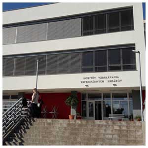 fasada111